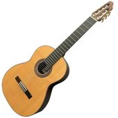 ASTURIAS ���饷�å� 7-STRING �����ȥꥢ�� 7��������