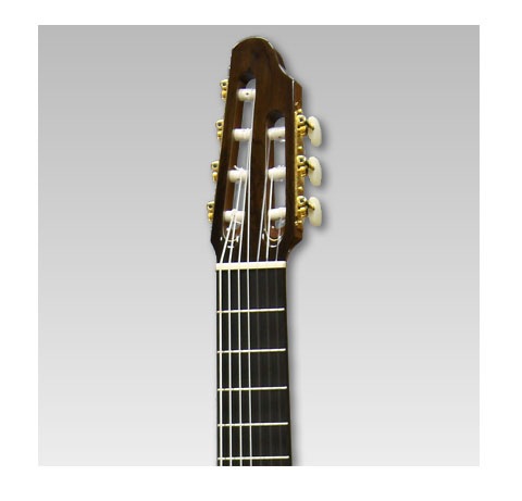 ASTURIAS/クラシック 7-STRING〈アストリアス/7弦ギター〉 | Acoustic