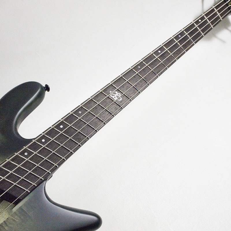 SPECTOR NS Dimension4 Haunted Moss Matte エレキベース〈スペクター