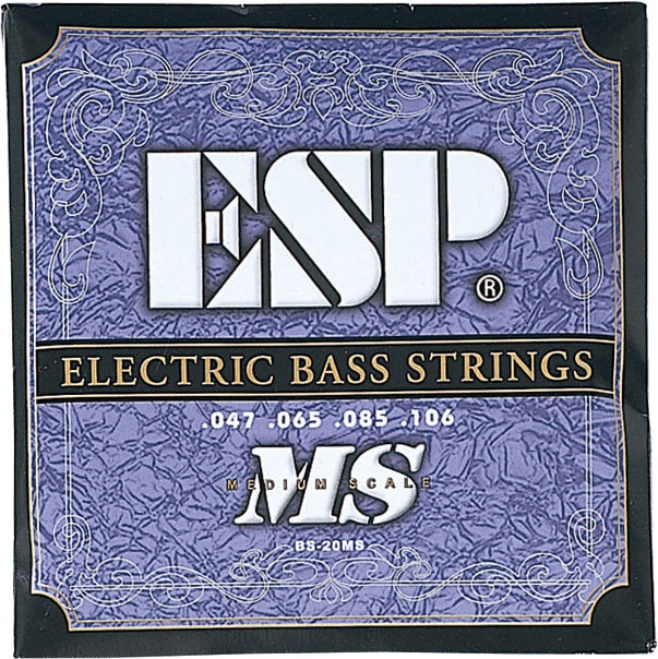 ESP BS-20MS ߥǥॹ 쥭١ 047-106