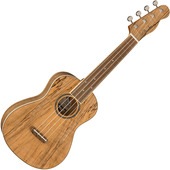 Fender Zuma Exotic Concert Ukulele Spalted Maple コンサートウクレレ 〈フェンダー〉|Fender|Ukulele