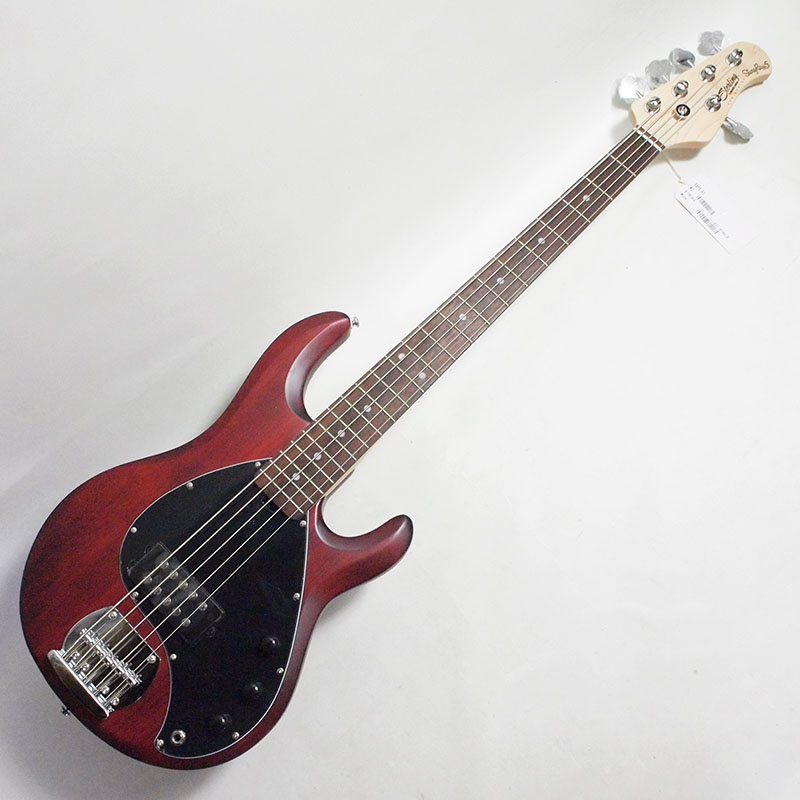 Sterling by Music Man SUB STINGRAY RAY5-WS-R1 Walnut Satin 5弦