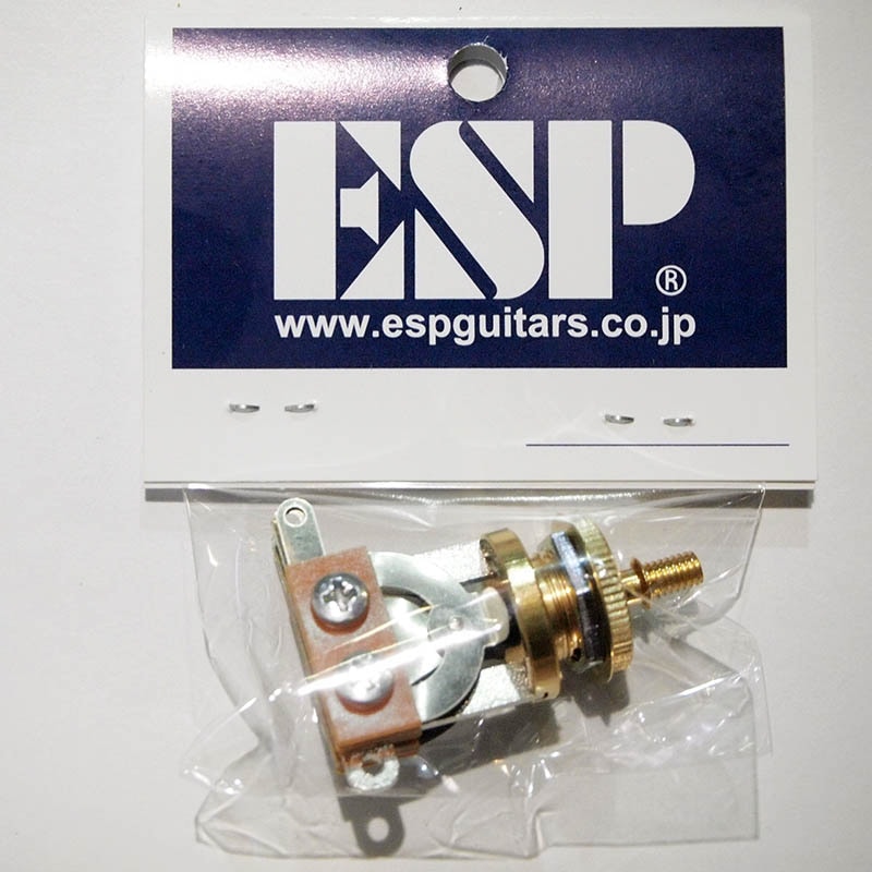 ESP LP �ȥ��륹���å� Gold