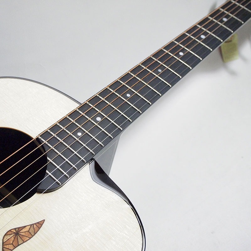 aNueNue Future Series aNN-LS700E エレアコ〈アヌエヌエ〉 | Acoustic