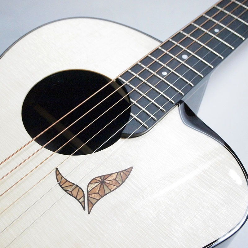 aNueNue Future Series aNN-LS700E エレアコ〈アヌエヌエ〉 | Acoustic