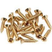 Fender Pickguard/Control Plate Mounting Screws (24) (Gold) ピックガードスクリュー【フェンダー】 |パーツ(ペグ・ブリッチ・ナット他)
