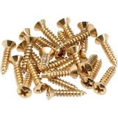 Fender Pickguard/Control Plate Mounting Screws (24) (Gold) ԥåɥ塼ڥե 