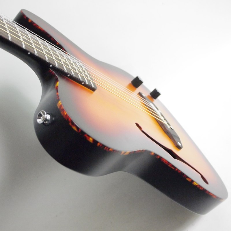 SCHECTER OL-FL-N-P/TSB エレガット〈シェクター〉 | Electric