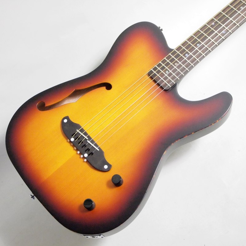 SCHECTER OL-FL-N-P/TSB エレガット〈シェクター〉 | Electric