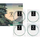 aNueNue AS-GPT Green Planet �ƥʡ�������츹 �ҥ��̥��̥���