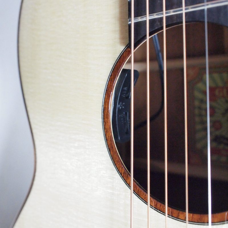 aNueNue aNN-LF23E センターホール仕様 エレアコ〈アヌエヌエ