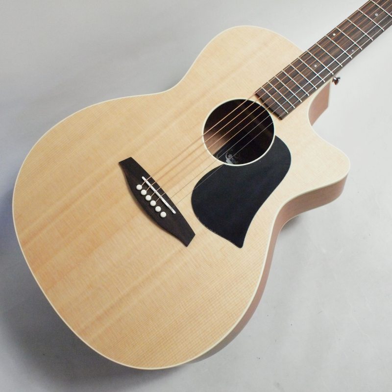 Singer GA01 アコースティックギター〈シンガー〉 | Acoustic/Classic