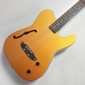SCHECTER OL-FL-P/GO エレアコ〈シェクター〉|SCHECTER|Electric Guitar