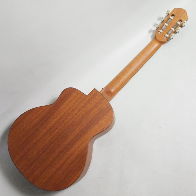 aNueNue Bird Guitar Series aNN-MCN10E FJE ナイロン弦モデル