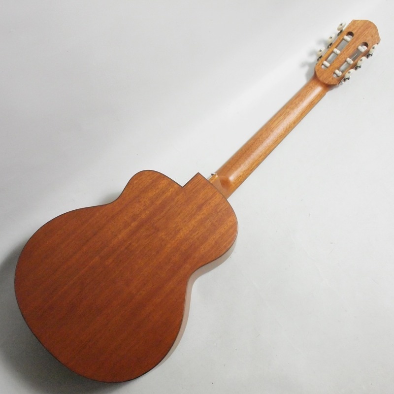 aNueNue Bird Guitar Series aNN-MCN10E WGE ナイロン弦モデル