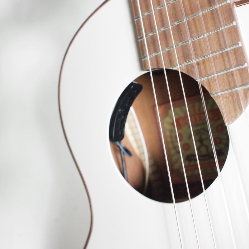 aNueNue Bird Guitar Series aNN-MCN10E WGE ナイロン弦モデル