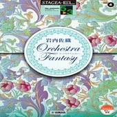 〈楽譜〉〈YMM〉 STAGEA・EL ポップスコア・シリーズ 5〜3級 Vol.4 岩内佐織「オーケストラ・ファンタジー」 |エレクトーン|楽譜・教則・雑誌