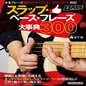 �ҳ���ӡҥ�åȡ��ߥ塼���å��ӥ���åס��١������ե졼�����ŵ300