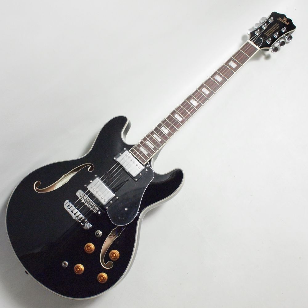 ARIA PRO II TA-200 BK(Black) セミアコ－スティックギター