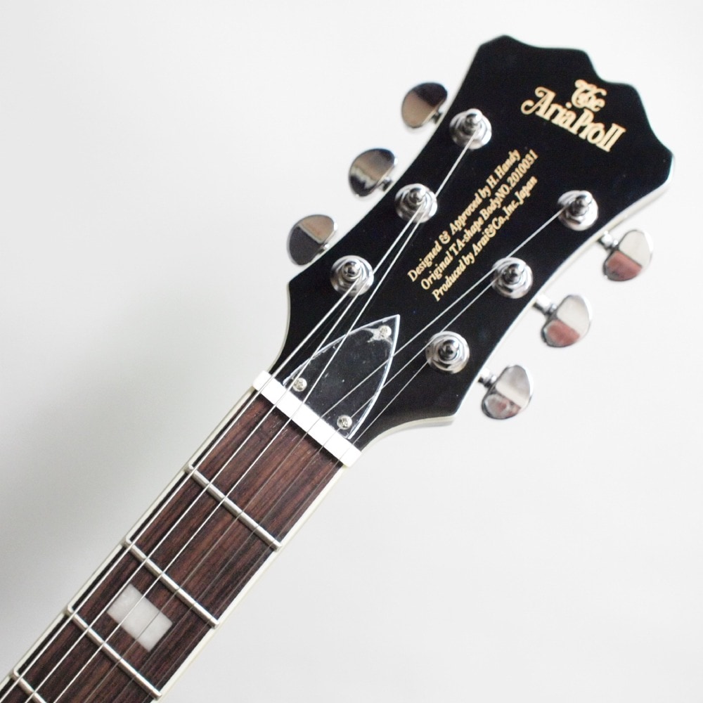 ARIA PRO II TA-200 BK(Black) セミアコ－スティックギター