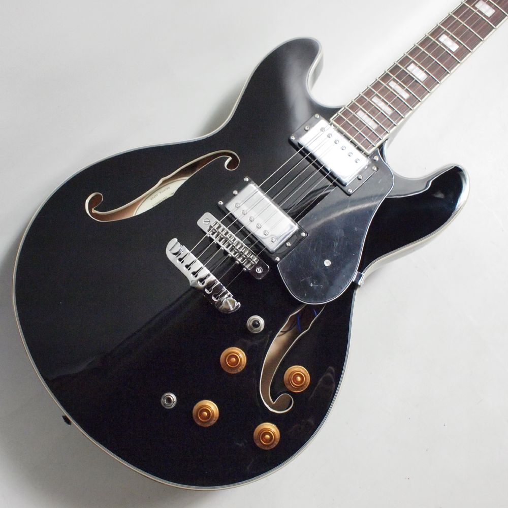 ARIA PRO II TA-200 BK(Black) セミアコ－スティックギター