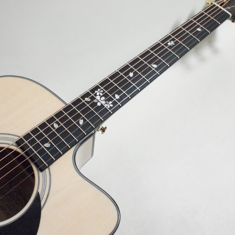 HEADWAY Japan Tune-up Series HOC-SAKURA/JS SW-GRD エレアコ 冬桜