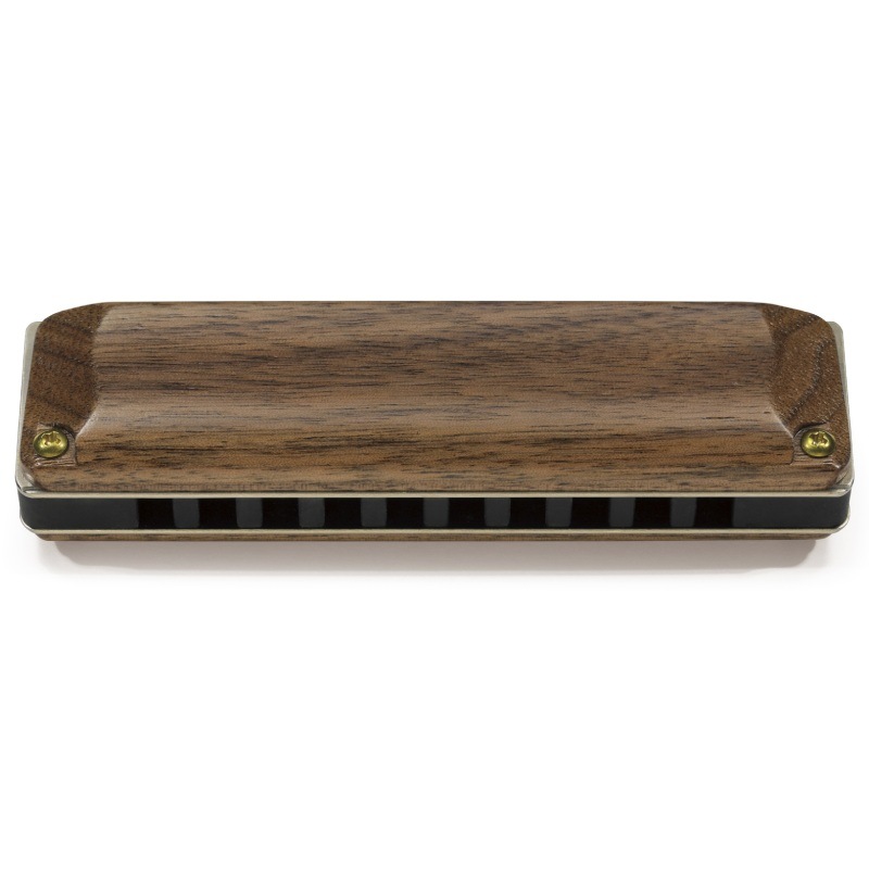 SUZUKI M-20W EĴ �������С���ǥ� 10��ϡ���˥��ҥ�������