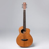 aNueNue aNN-M60E BirdGuitar エレクトッリックアコースティックギター〈アヌエヌエ〉|Otherｓ|Acoustic/Classic