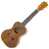 Aria Ukuleles ACU-1KE コンサートウクレレエレクトリックモデル〈アリア・ウクレレ〉|その他のウクレレ|Ukulele