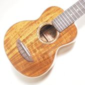 ��ʪ�̿� aNueNue aNN-AAA1 Taiwan Acacia ���ץ�Υ������ ���̥��̥�