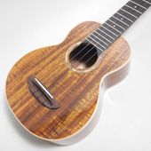��ʪ�̿� aNueNue aNN-AAA1 Taiwan Acacia ���ץ�Υ������ ���̥��̥�