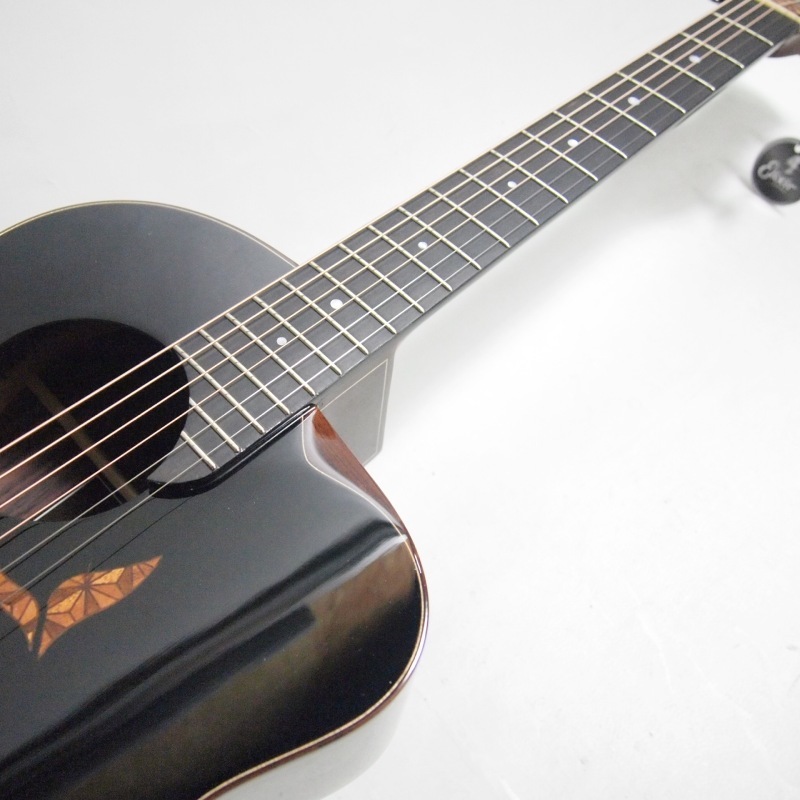 aNueNue Future Series aNN-LS700 BLK アコースティックギター 限定品