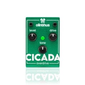 Olinthus CICADA Ķե Сɥ饤֡ҥ󥿥