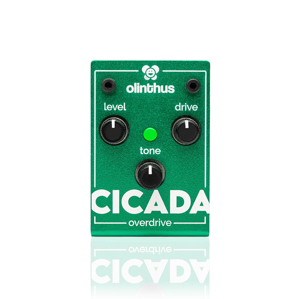 Olinthus CICADA 超小型エフェクター オーバードライブ〈オリンタス