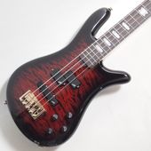 SPECTOR Icon NS-2 Bolt-On BC Gloss ���쥭�١��� ���ڥ����� 3.40kg