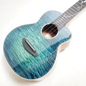 ��ʪ�̿� aNN-Dolphin 2025 III �ƥʡ�������� aNueNue �� Shimo Guitars Collaboration Limited Model ���̥��̥�