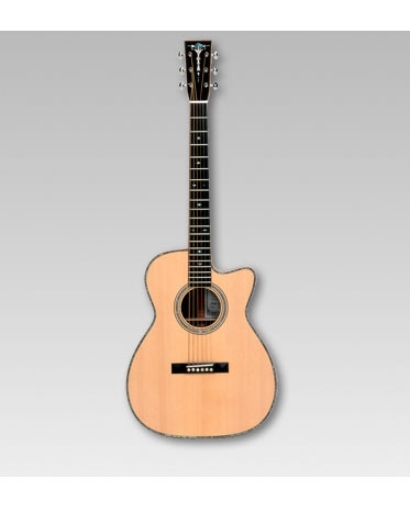 ASTURIAS アコースティック SOLO PREMIUM〈アストリアス