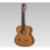 ASTURIAS ���饷�å� CUSTOM/C�ʿ��ˡҥ����ȥꥢ��/���������