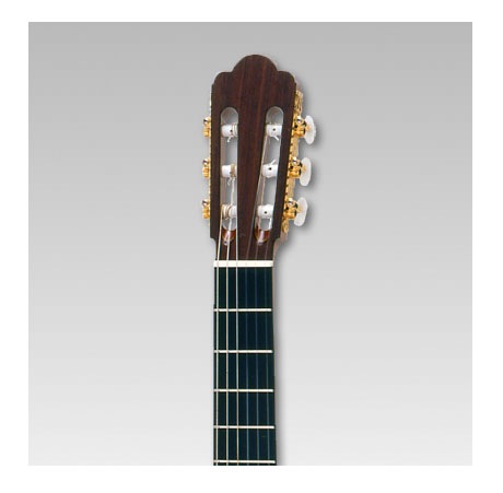 ASTURIAS/クラシック 辻渡 S-1/C（杉）【アストリアス/辻ギター