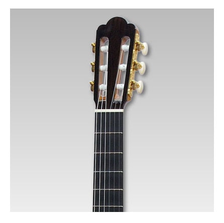 ヴィンテージ品　エレアコ　ASTURIAS　アストリア アコ中古】ASTURIAS / TRAD D ProtoType | イシバシ楽器スタッフ