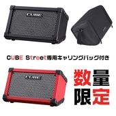 (���ѥХå��դ�)Roland/�Хåƥ꡼����������� CUBE Street CUBE-STA�ڥ������ɡ�