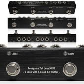 One Control Xenagama Tail Loop MKIII 3 Loop with T.O. and BJF Buffer �����å��㡼 ��󥳥�ȥ�����