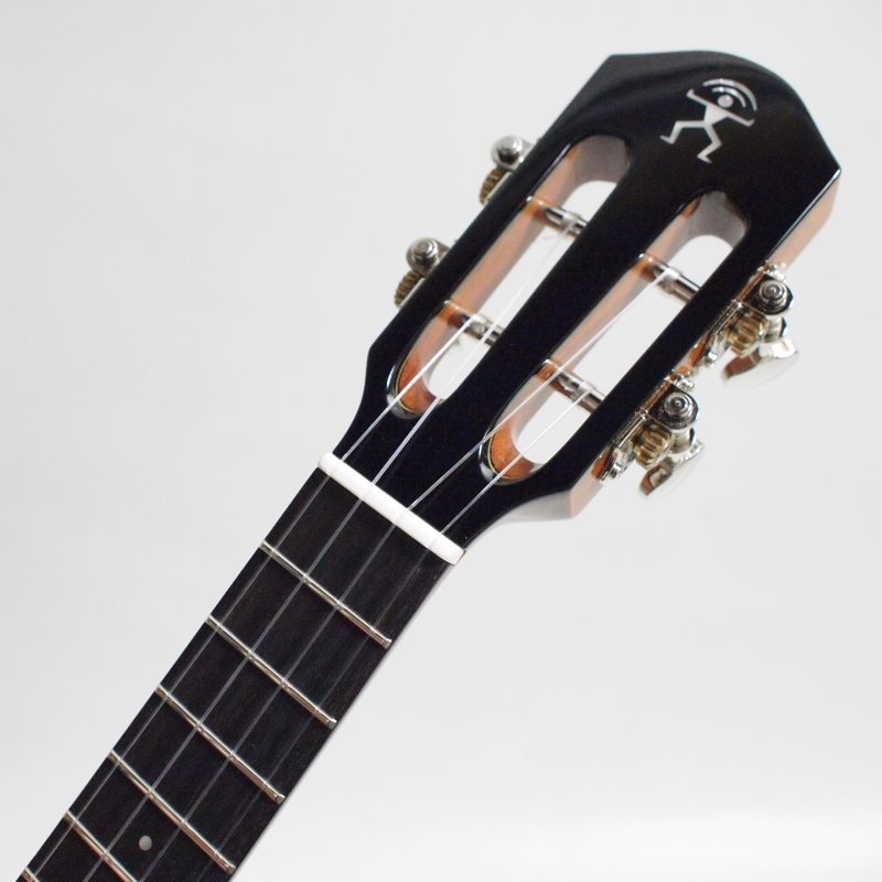 aNueNue aNN-UC100 ���󥵡��ȥ������ҥ��̥��̥���