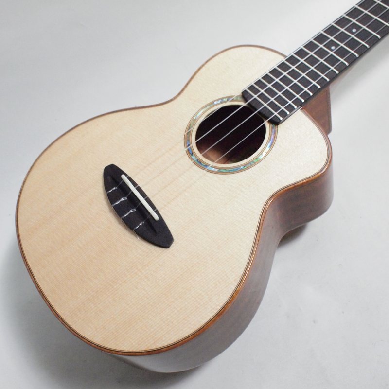 aNueNue aNN-UC100 ���󥵡��ȥ������ҥ��̥��̥���