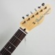 Fender Made in Japan Limited Kusumi Color Telecaster Thinline Kusumi Greenҥեѥƥ쥭㥹