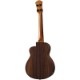 aNueNue aNN-UT200 Bird Ukulele Moon Bird �ƥʡ��������ڥ��̥��̥���