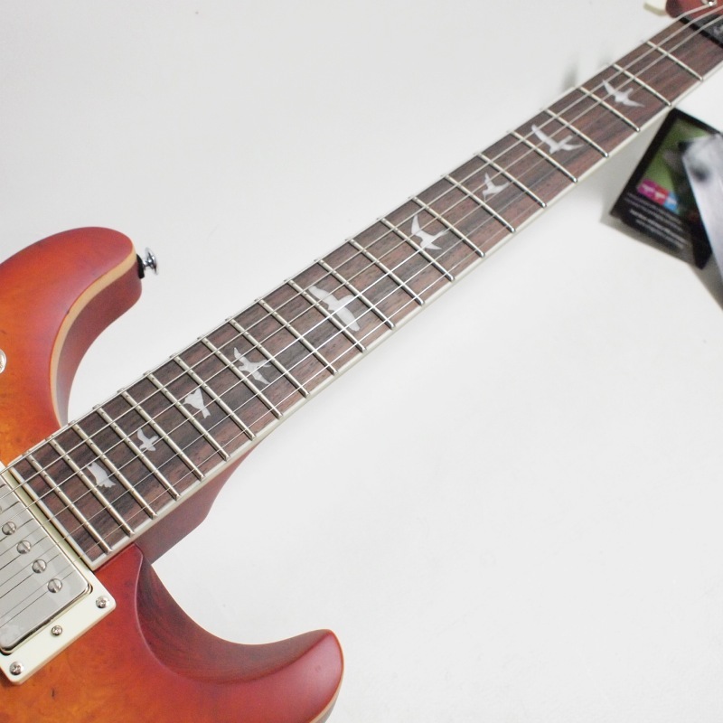 PRS SE McCarty 594 Laurel Burl Limited Edition Vintage Sunburst  ������ ���쥭������ 2025�ҥݡ���꡼�ɥ��ߥ���
