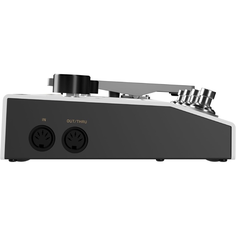 HOTONE Ampero II ����ץ�ǥ顼&���ե��������ҥۥåȥȡ����