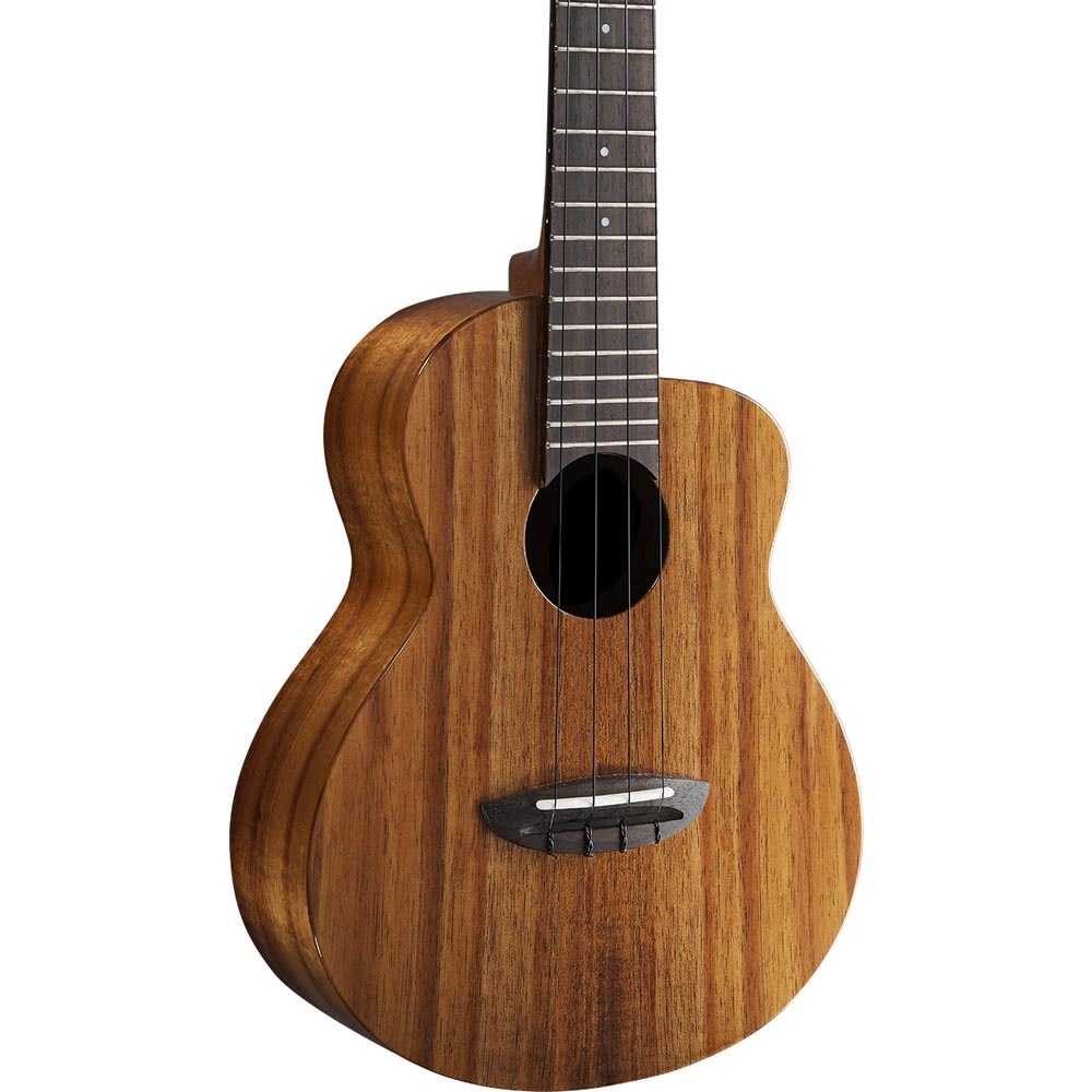 aNueNue aNN-UC1K ���󥵡��ȥ������ҥ��̥��̥���