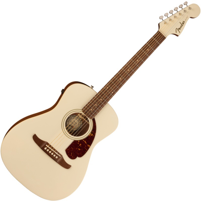 Fender Malibu Player, Walnut Fingerboard, Tortoiseshell